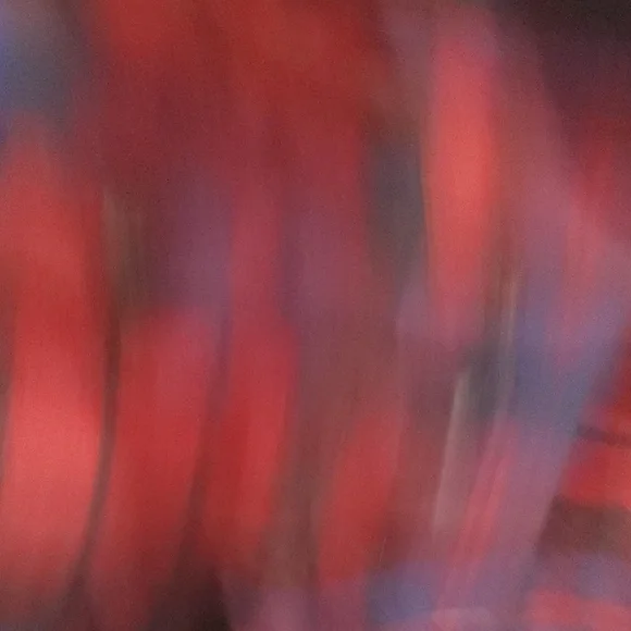 Lands' End Men's Flannel Blue and Red Plaid Button Down Shirt - Picture 7 of 10